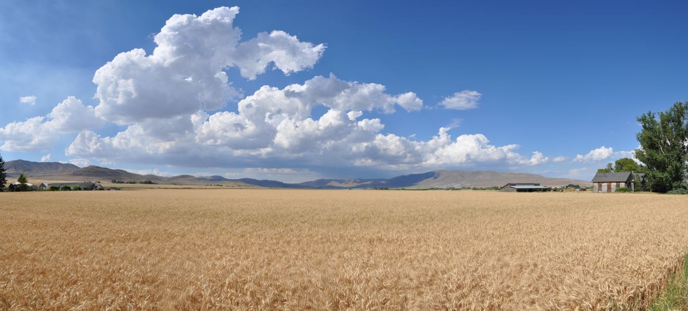 2010-07-29-pano-4.jpg